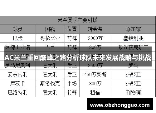 AC米兰重回巅峰之路分析球队未来发展战略与挑战