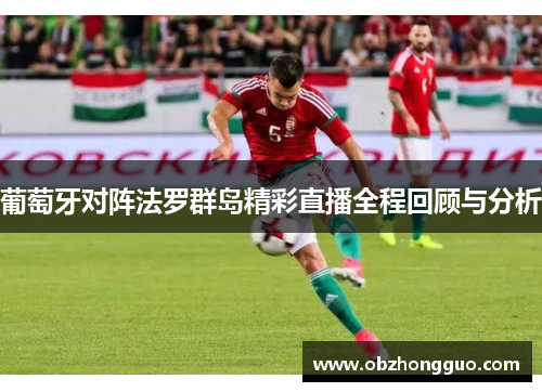 葡萄牙对阵法罗群岛精彩直播全程回顾与分析
